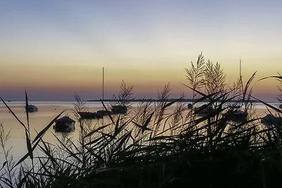 Appartement Vacances avec la famille Pepelow