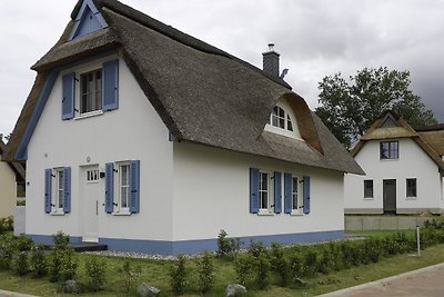 Ferienhaus Seeschwalbe