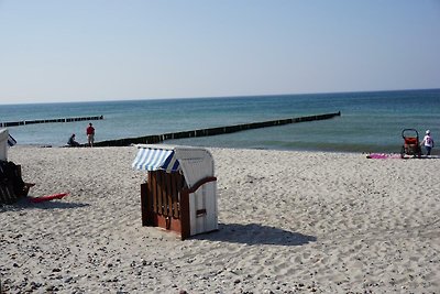 Vakantieappartement Gezinsvakantie Börgerende-Rethwisch