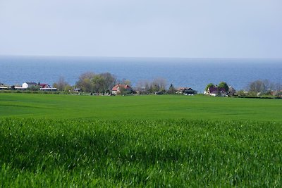 Vakantiehuis Ontspannende vakantie Rerik