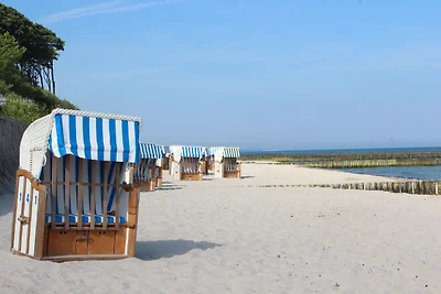 Ferienhaus Sommerwind