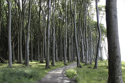 Fewo Ostseemuschel