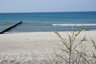 Vakantiehuis Ontspannende vakantie Börgerende