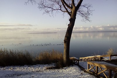 Zum Reetdachhaus am Haff " Haffblick"