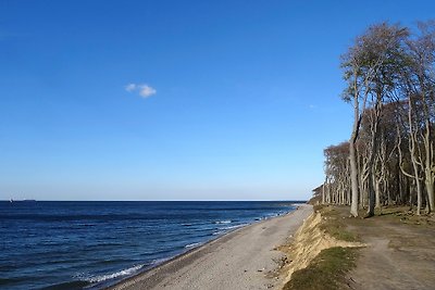 Ostsee Idyll Robbe