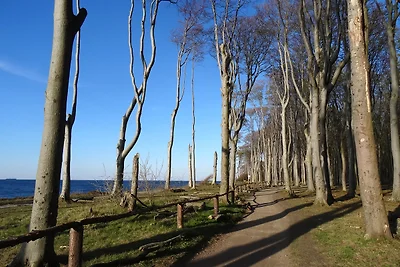 Ostsee Idyll Bungalow 4 Robbe