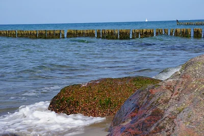 Ferienhaus Stine Ferienwohnung Villa