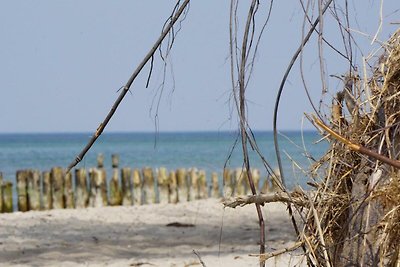 Vakantieappartement Gezinsvakantie Börgerende