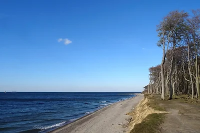 Ostsee Idyll Bungalow 4 Robbe