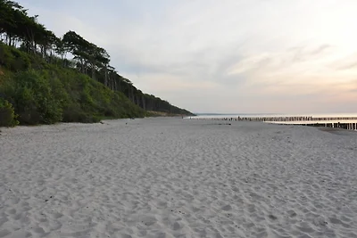 Fewo Dorothee 5 - Relex