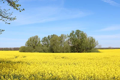 Fewo Zum weissen Sand