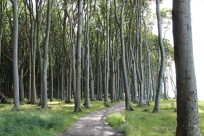 Appartamento Vacanza con famiglia Nienhagen