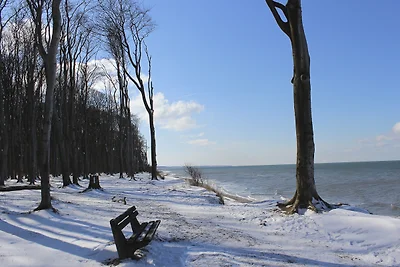 Appartement Vacances avec la famille Nienhagen