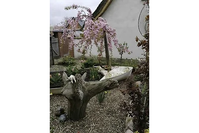 Zum Reetdachhaus am Haff Möwennest