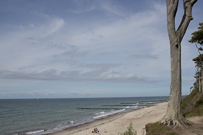 Vakantieappartement Gezinsvakantie Nienhagen