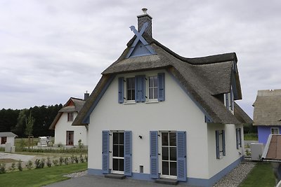 Ferienhaus Seeschwalbe