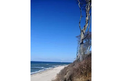 Fewo Große Freiheit