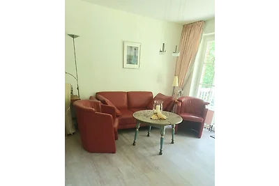 Friesenresidence-Silbermöwe
