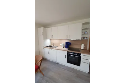 Friesenresidence-Silbermöwe