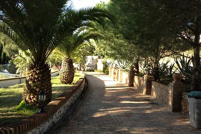 Cortijo Alegria 11 Apartments