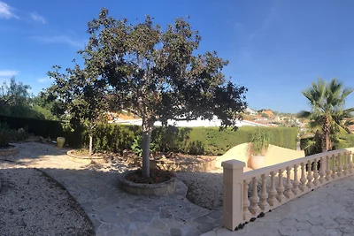 Noleggio Alicia