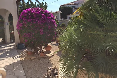 Casa Siesta