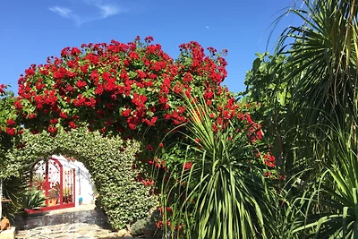 Casa Siesta