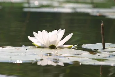 Casa vacanze direttamente sul lago