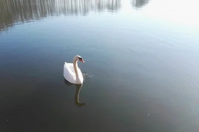 Casa vacanze direttamente sul lago