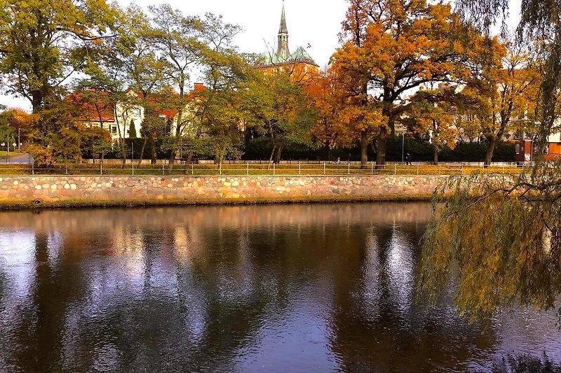 Herbstansicht der Kathedrale..