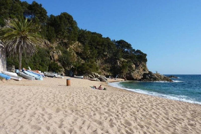 Holidays in Cala Canyelles with family and friends