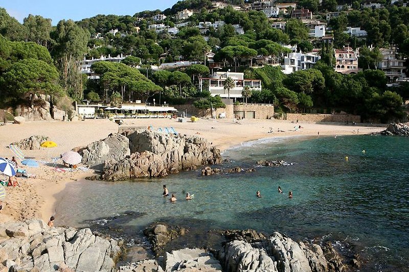 Ferienhaus mit Meerblick, Strand und Palmen in Spanien.