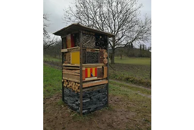 Pensione Mühlenhof-Müller Thurgau