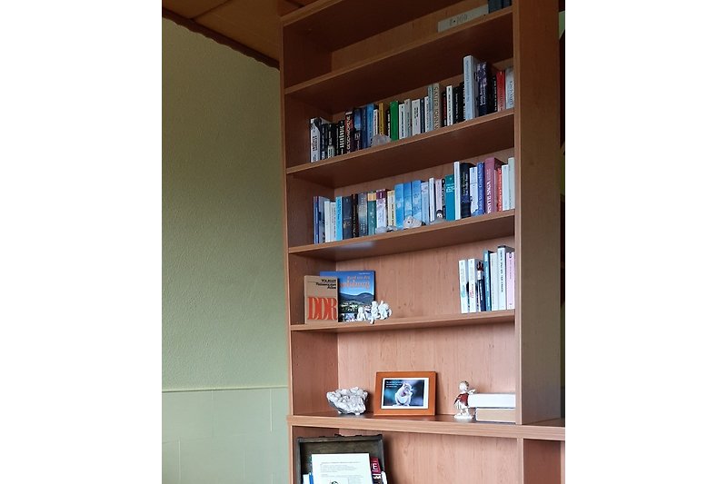 1. Obergeschoß Kleine Bibliothek im Wohn-Schlaf-Raum