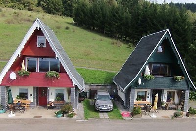 Finnhütte  Hohe Klinge / Waldgrün