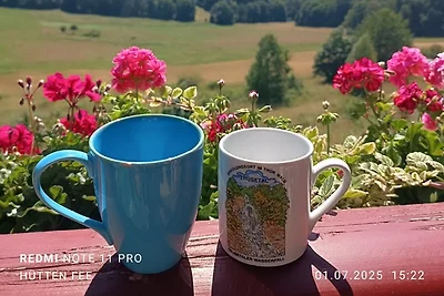 Finnhütten Hohe Klinge / Trusetal