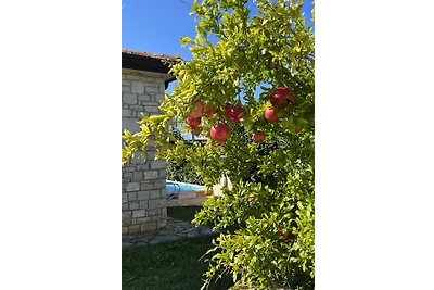 Villa Mariposa