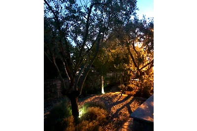 Villa Mariposa
