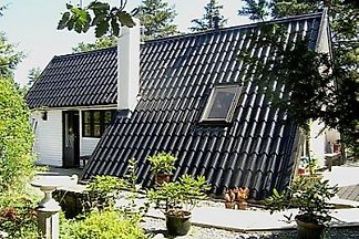 Ferienhaus in Dänemark fri internet