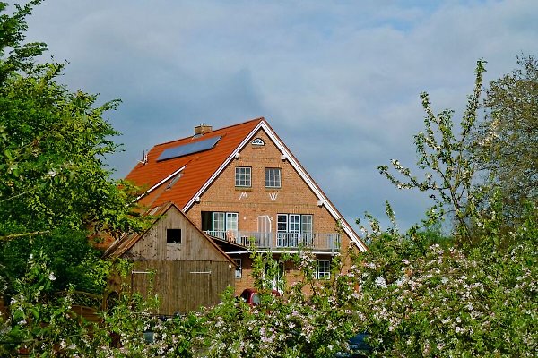 Ferienwohnung Elbinsel Krautsand