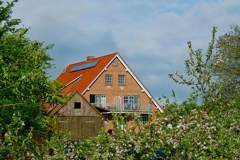 Vakantieappartementen Schröder