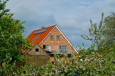 Obsthof Schröder Ferienwohnungen