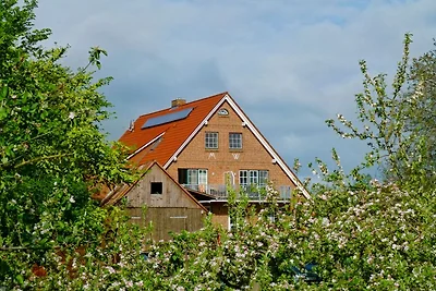 Ferienwohnungen Schröder