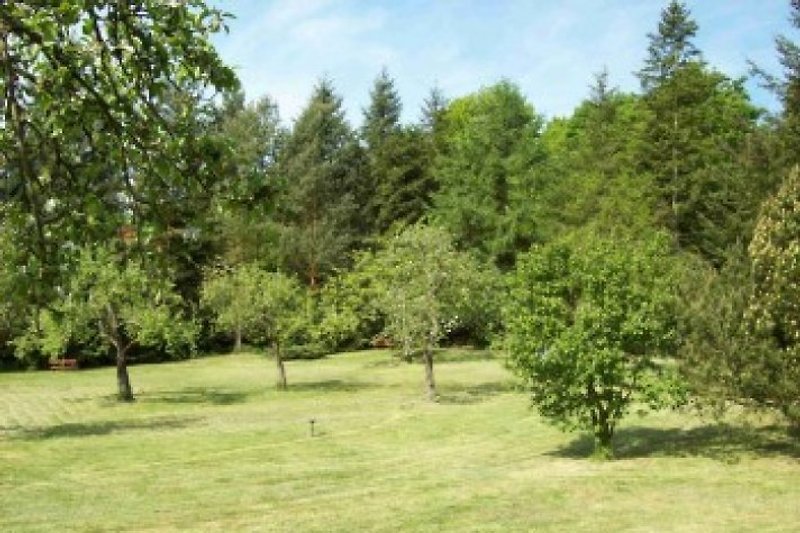 Blick in den Teil des Garten mit Obstbäume