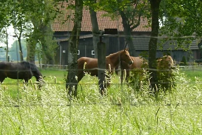 Landhaus Pansegrau
