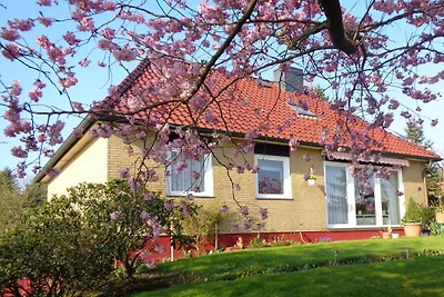 Ferienwohnung in Westerrade