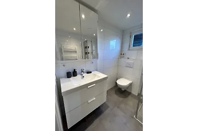 Het 'Zijper Eilant, Oudesluis