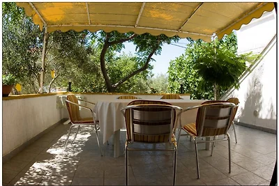 Appartements - Kroatien - Rab