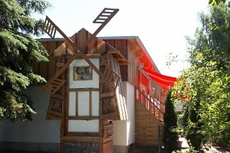 Zwergen-Mühlenkammer