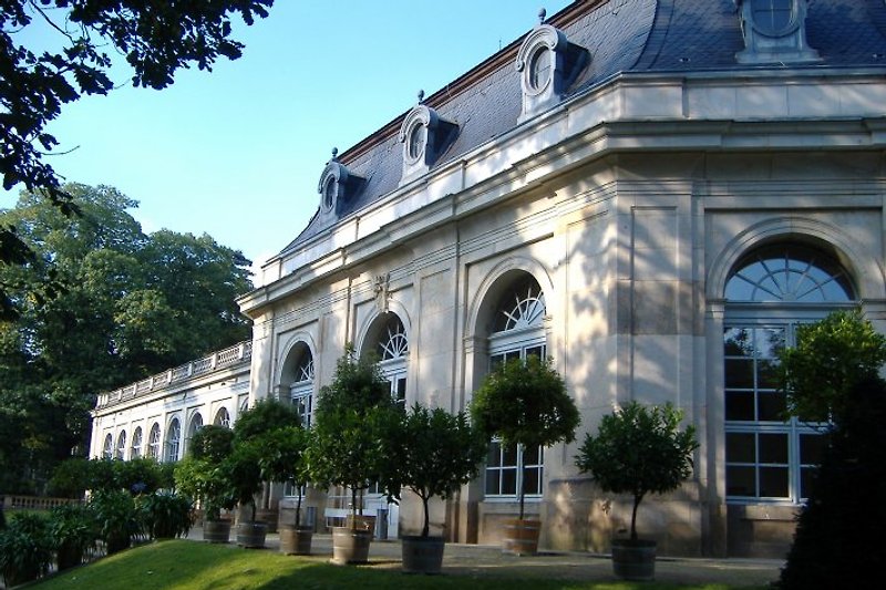 Orangerie Parc du Château de Pillnitz